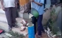 【视频】印度这小朋智商爆表