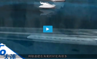 【视频】【中国海底高铁，隧道浮在水中，时速2千公里，大连到烟台12分钟】
