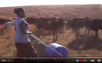 【视频】【非洲“神器”，一个妇女单手，一次可托起90公斤水】