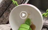 【视频】国外发明的懒人洗碗神器，碗放上去自动洗干净，洗碗工会下岗吗？