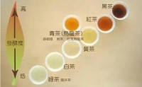 一张图看懂中国所有茶叶